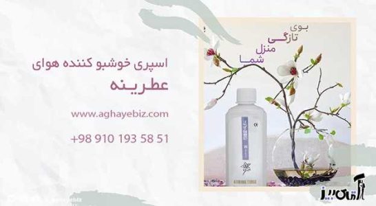 اسپری خوشبو کننده هوا عطرینه بیز