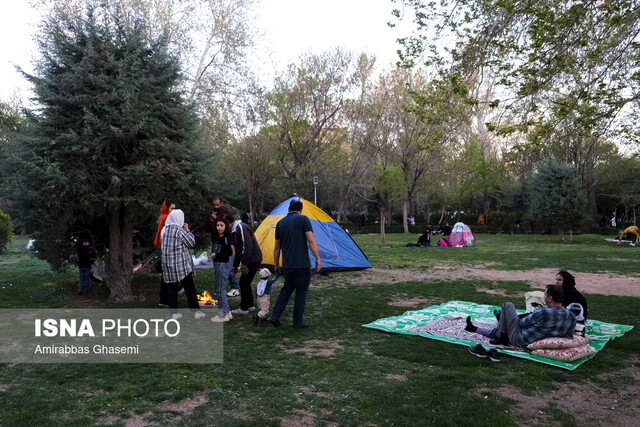 نقدی بر حصار کشی و اسباب کشی درختان از پارک ها