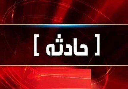 مواجهه با پلنگ یک باغدار در گلبهار را مصدوم کرد - خبرگزاری نشر روز | اخبار ایران و جهان