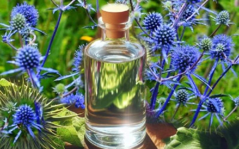 عرق بوقناق و فشار خون