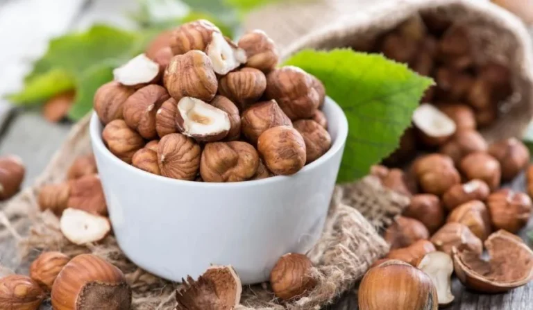 خواص فندق برای فشار خون: اهمیت + نحوه مصرف