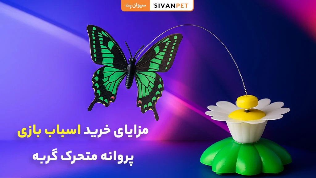مزایای خرید اسباب بازی پروانه متحرک گربه