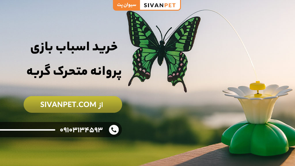 مزایای خرید اسباب بازی پروانه متحرک گربه