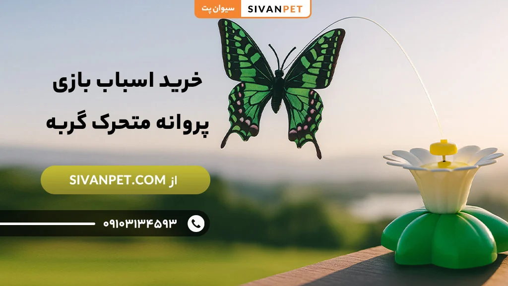 مزایای خرید اسباب بازی پروانه متحرک گربه